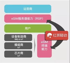 eSIM技術 驅動物聯網大規模應用的核心連接引擎